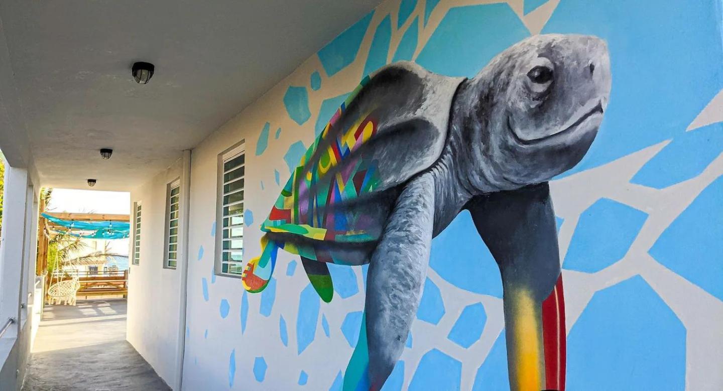 The Surfing Turtle Hotel Luquillo Exterior photo